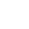 Unique Leevi