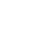 Bull Fight