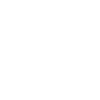 Bull Fight