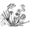 Kräuterstrauß schwarz