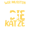 Katze war allergisch