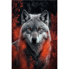 Wolf, infrared image