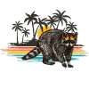 Raccoon Beach Summer Edition