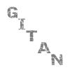 Gitan blanc et gris