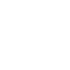 Highland Cattle Cow Highland Cattle