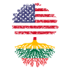 lithuania american flag, tree lithuania