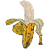 gedeeltelijk gepelde banaan vrucht fruitig gezond