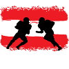 American Football Austria Defense
