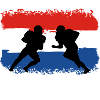 American Football Netherlands Defense