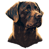Brave Labrador Retriever