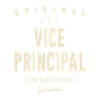 Vice Principal Occupation
