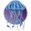 jellyfish in purple