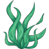 Wavy green plant