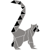 Lemur Raccoon