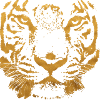 Tigers Optik