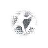 Fencing Power & Control Fencers