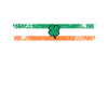 Slainte Ireland Toast