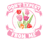 Tulipes Roses Tulipes