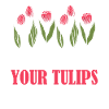 Tulips Funny Tulips