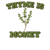 Thyme is money