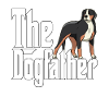 Sveitsin vuorikoira Koira Isä Dogfather Koirat Daddy Fa