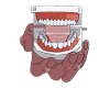 Zahnarzt Dentist