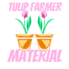 Tulipes Farmer Tulipes