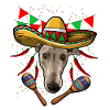 Cinco De Mayo Greyhound