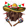 Cinco De Mayo Labrador
