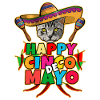 Cinco De Mayo Cat