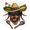 Cinco De Mayo Rottweiler