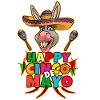 Cinco De Mayo Donkey