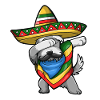 Cinco De Mayo Dog