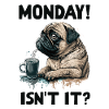 Lundi! N’est-ce pas? Chien carlin