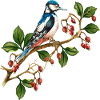 Bunter Vogel