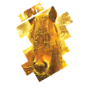 Golden Horse