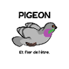 Pigeon
