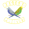 Pretend I'm a parakeet