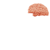 Fail into Succeed blanc