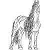 Schönes Pferd