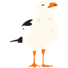 Mouette