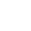 The car lovers