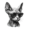Coole Sphynx Katze mit Sonnenbrille