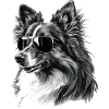 Cool Shetland Sheepdog Wearing Sunglasses