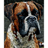 Boxerhund Mosiac