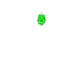 Hopfen EKG Herzschlag