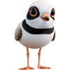 Yellow-footed plover