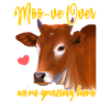 Moo-ve fini, nous paîtons ici