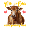 Moo-ve fini, nous paîtons ici