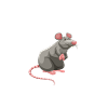 Igitt Menschen | lustige Sprüche, lustige Bilder